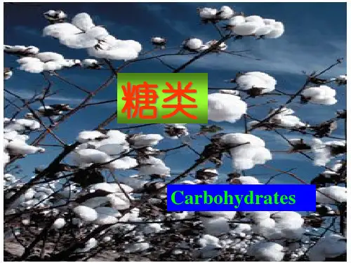 生物化学王镜岩第三版生化第二章糖课件