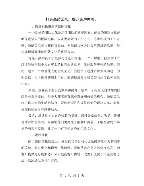 打造高效团队,提升客户体验