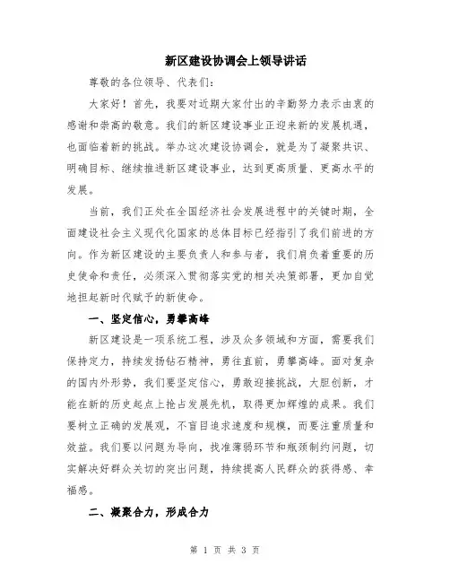 新区建设协调会上领导讲话