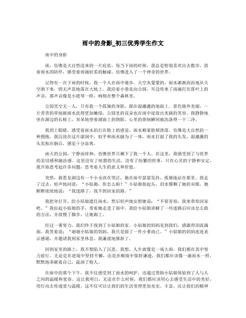 雨中的身影_初三优秀学生作文