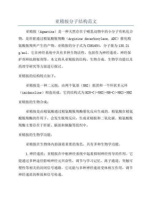 亚精胺分子结构范文
