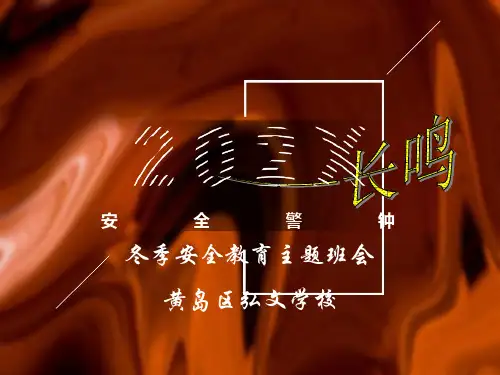 冬季安全教育PPT