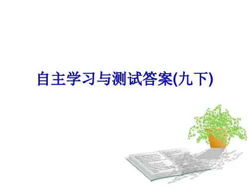 自主学习与测评答案(九下)