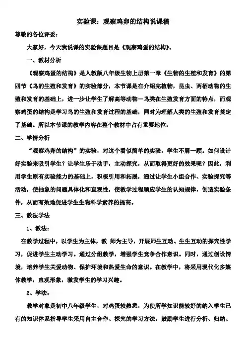 观察鸡卵的结构 实验课
