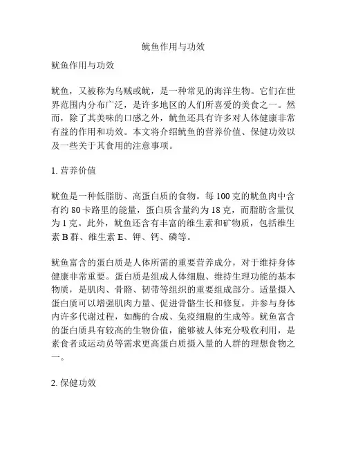 鱿鱼作用与功效