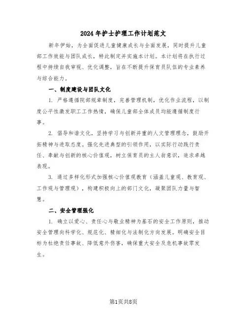 2024年护士护理工作计划范文（三篇）
