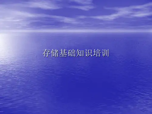 存储磁盘阵列基础知识培训精品PPT课件
