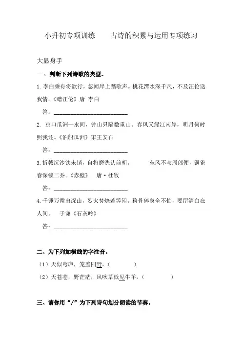 小升初语文古诗词阅读与积累专题训练 含答案  精品