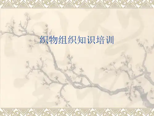 织物组织知识培训