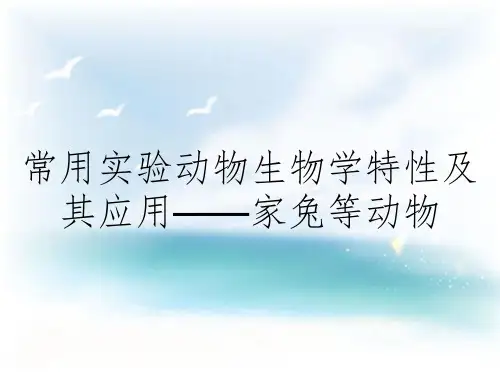 常用实验动物生物学特性及其应用——家兔等动物