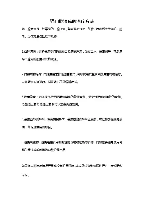 猫口腔溃疡的治疗方法