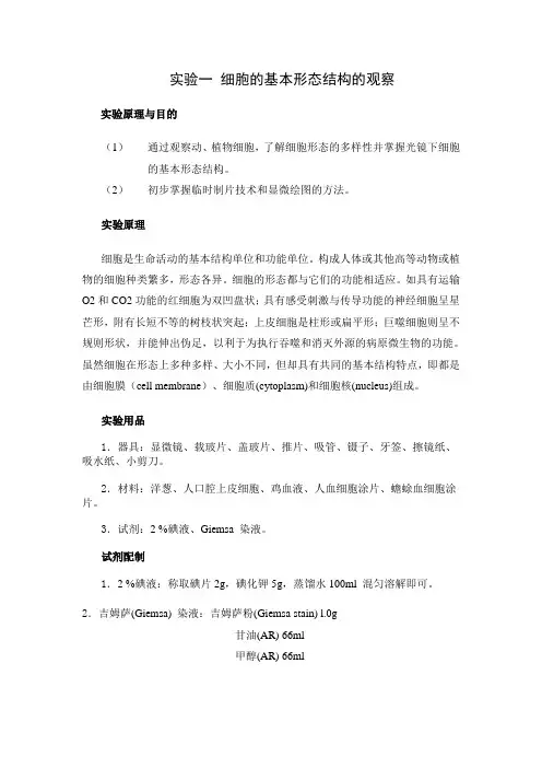 细胞生物学实验指导讲义