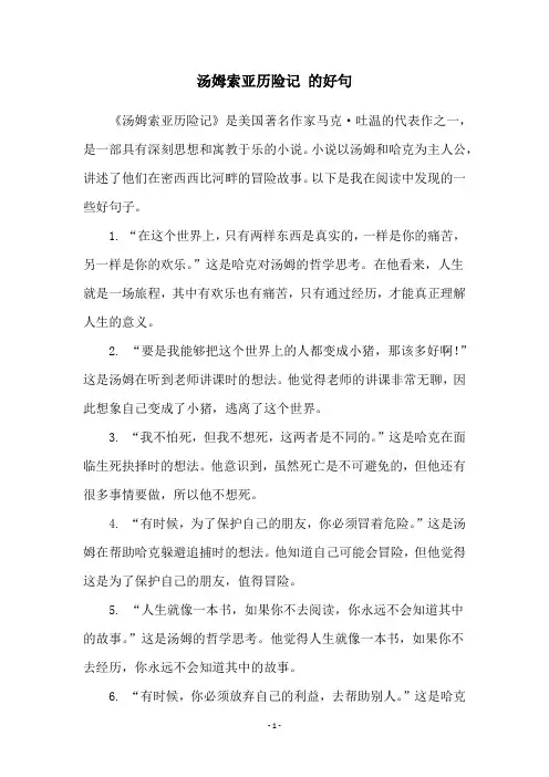 汤姆索亚历险记 的好句