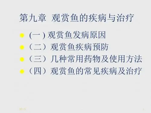 观赏鱼的疾病与治疗模板ppt课件