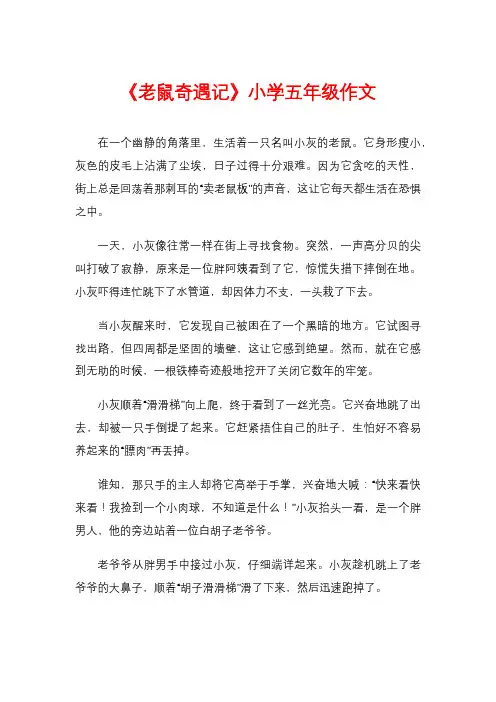 《老鼠奇遇记》小学五年级作文