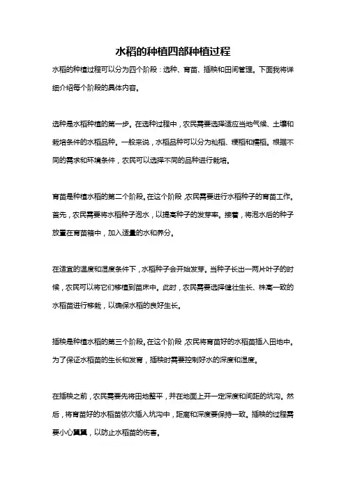 水稻的种植四部种植过程