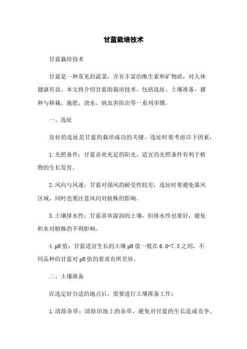 甘蓝栽培技术
