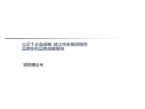 立足于公司战略建立传化集团强势品牌系的品牌战略规划