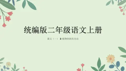 植物妈妈有办法ppt课件