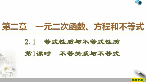 高中必修第一册《2.1 等式性质与不等式性质》名师优质课ppt课件