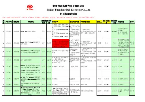 纠正行动计划表(1)
