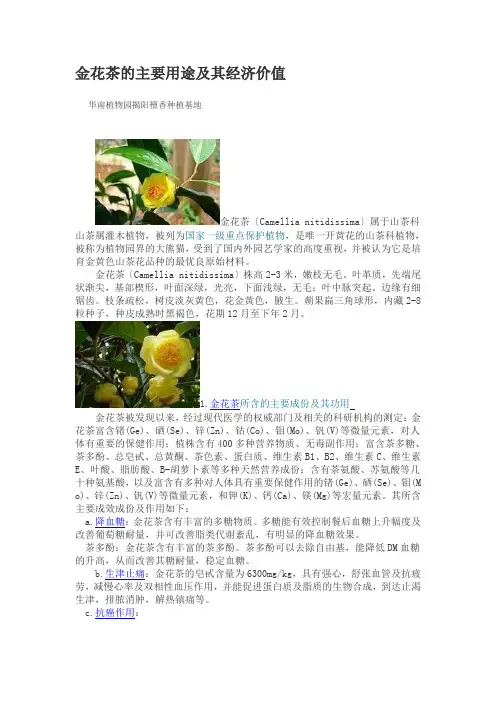 金花茶的主要用途及其经济价值