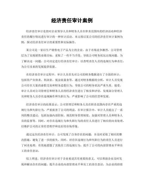 经济责任审计案例
