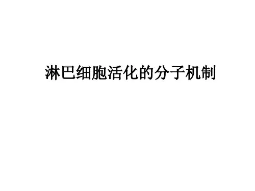 蛋白激酶和蛋白磷酸酶蛋白激酶