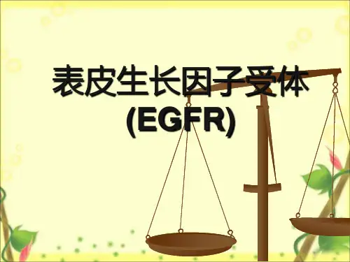 EGFR