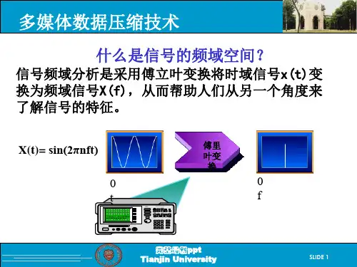 多媒体数据压缩技术ppt课件