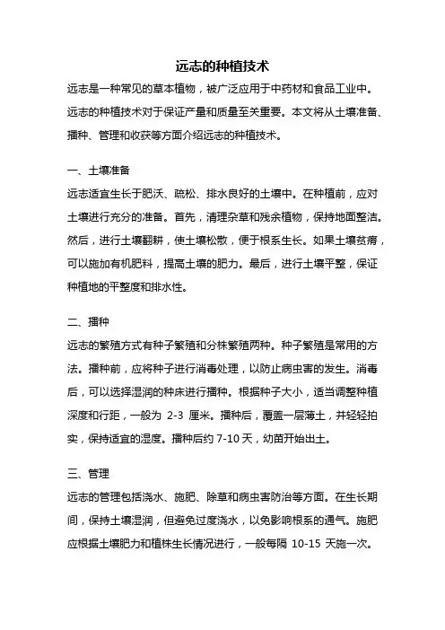 远志的种植技术
