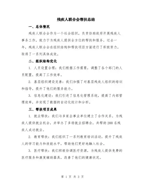 残疾人联合会帮扶总结