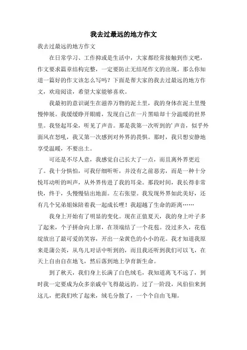 我去过最远的地方作文