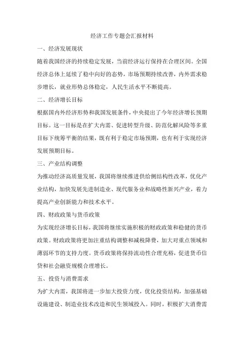 经济工作专题会汇报材料
