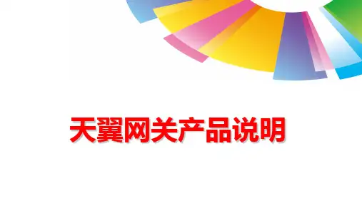 天翼网关产品说明