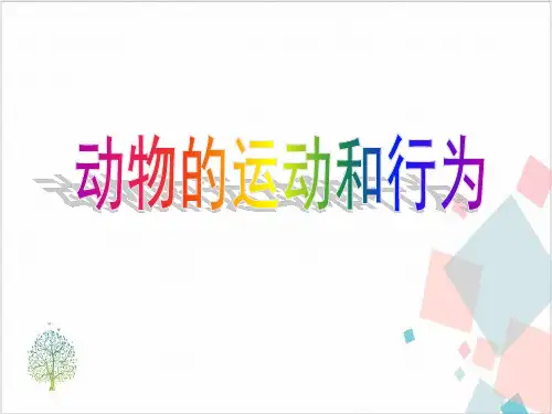 《动物的运动和行为》_精美课件