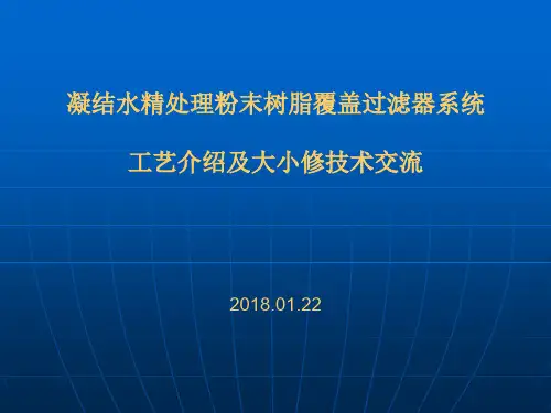 精处理粉末树脂覆盖过滤器工艺介绍与大小修管理技术交流