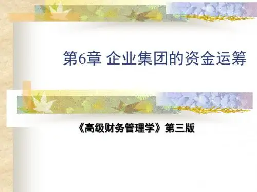 企业集团的资金运筹培训课件(ppt 135页)