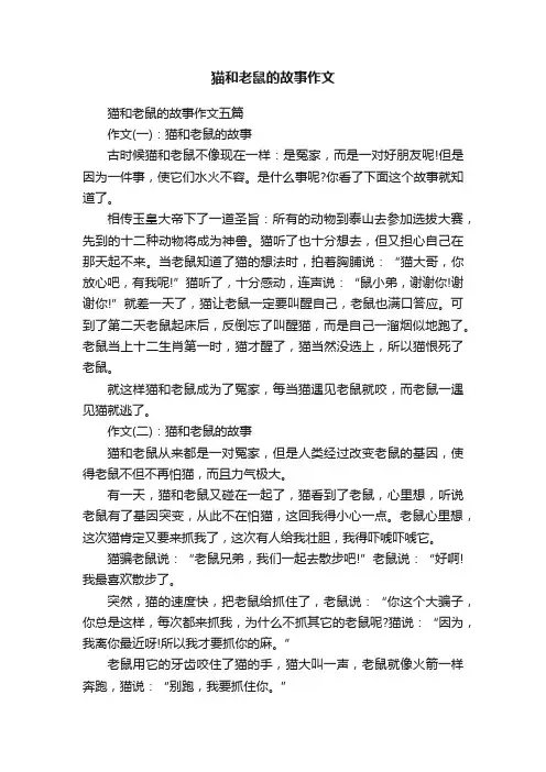 猫和老鼠的故事作文