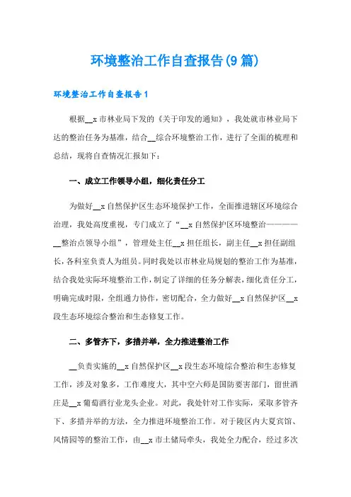 环境整治工作自查报告(9篇)