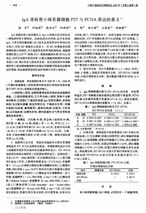 IgA肾病肾小球系膜细胞P27与PCNA表达的意义