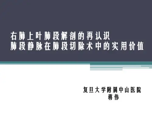 右肺上叶肺段解剖的再认识