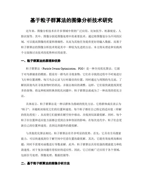 基于粒子群算法的图像分析技术研究