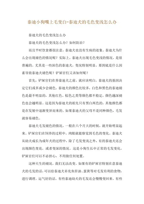 泰迪小狗嘴上毛变白-泰迪犬的毛色变浅怎么办