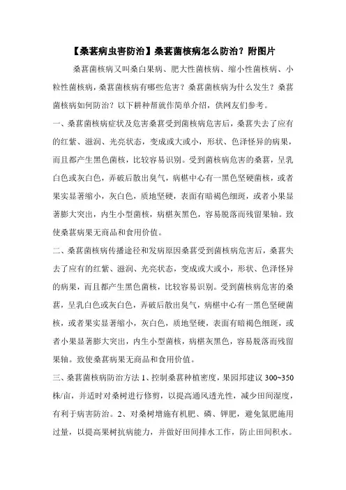 【桑葚病虫害防治】桑葚菌核病怎么防治？附图片