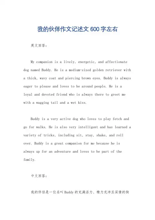 我的伙伴作文记述文600字左右