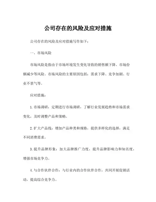 公司存在的风险及应对措施