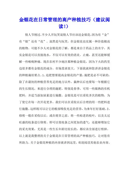 金银花在日常管理的高产种植技巧(建议收藏!)
