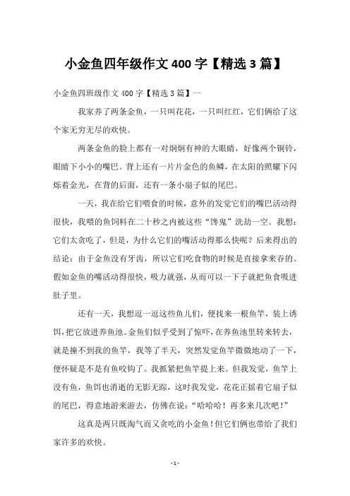 小金鱼四年级作文400字【3篇】