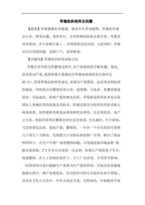 草莓组织培养及快繁